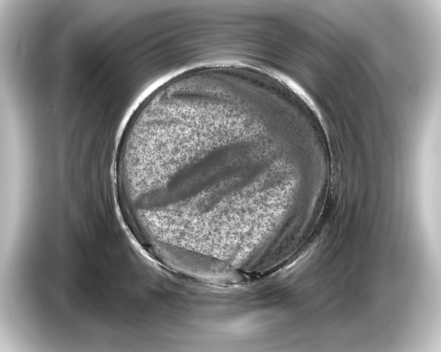 X0000084600951200703161815