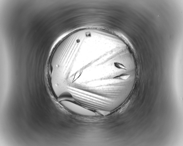 X0000084600952200703161815