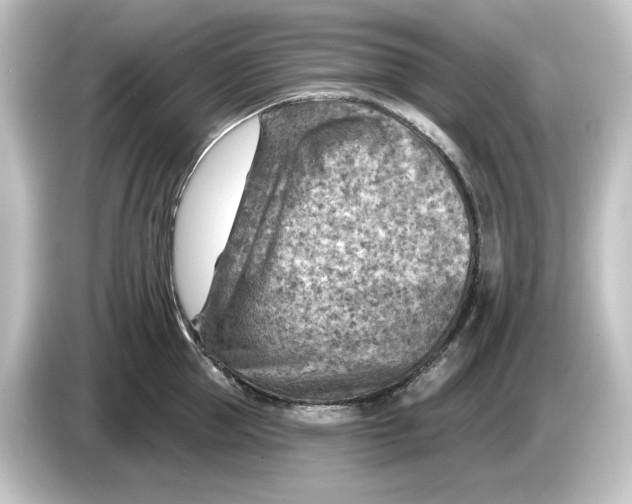 X0000084600953200703161815