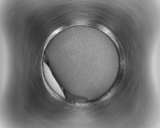 X0000084600954200703161815