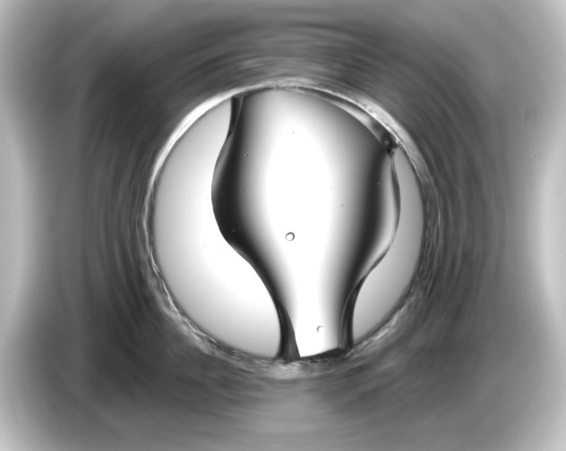 X0000084600956200703161815