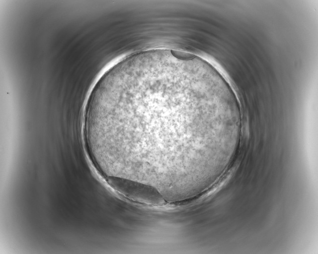 X0000084600957200703161816