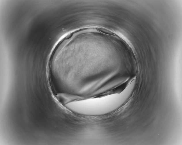 X0000084600958200703161816