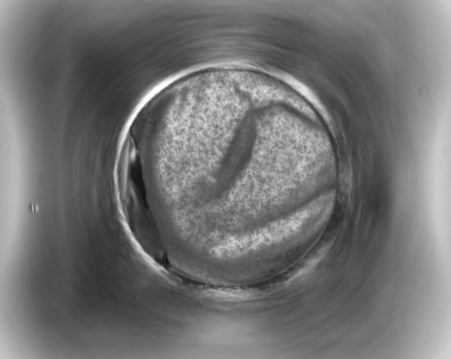 X0000084600959200703161816