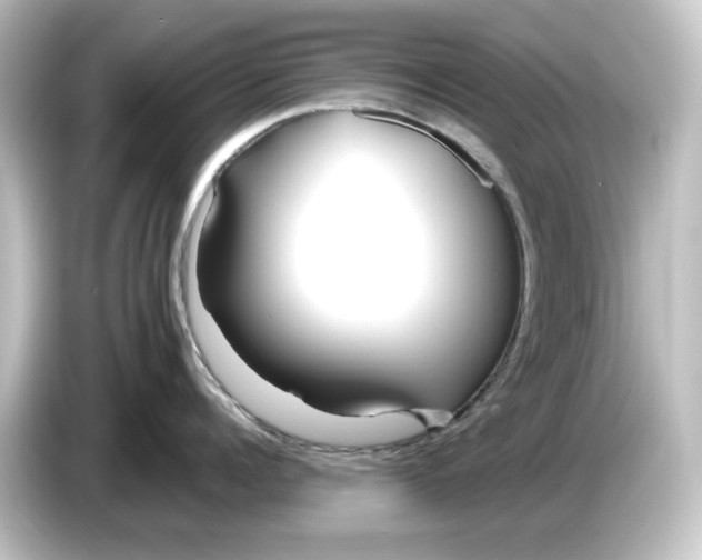 X0000084600960200703161816