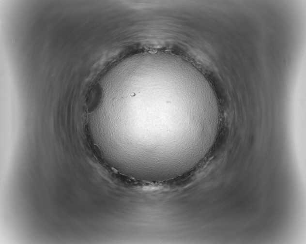 X0000084600961200703161815