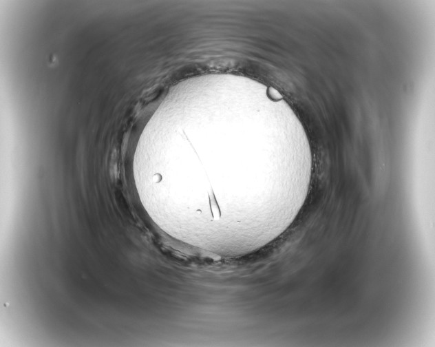 X0000084600962200703161815