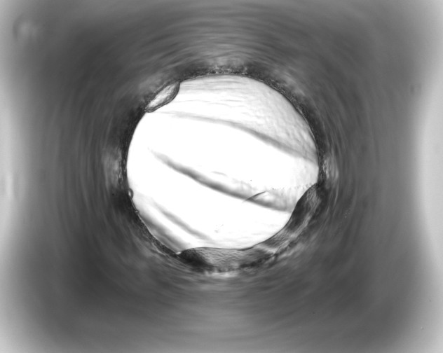 X0000084600963200703161815