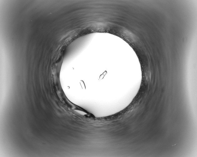 X0000084600964200703161815