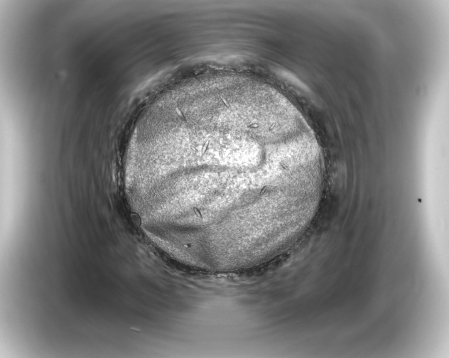 X0000084600966200703161815