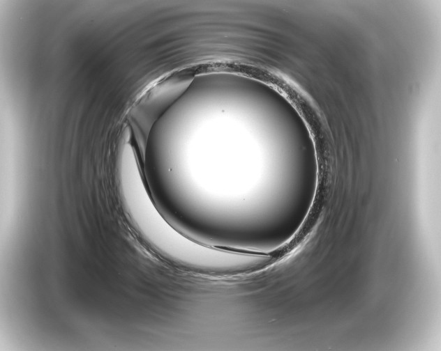 X0000084600969200703161815