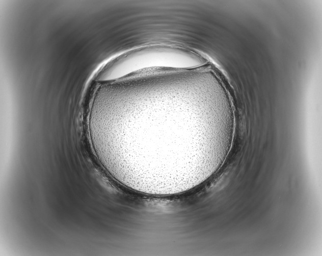 X0000084600971200703161815