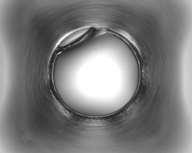 X0000084600972200703161815