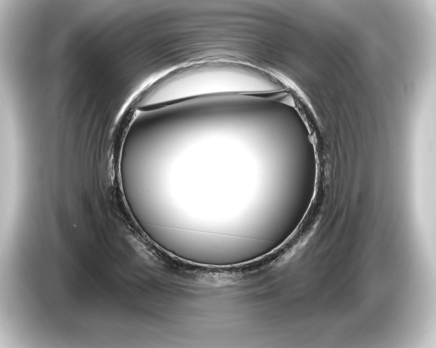 X0000084600973200703161815