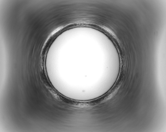 X0000084600974200703161815