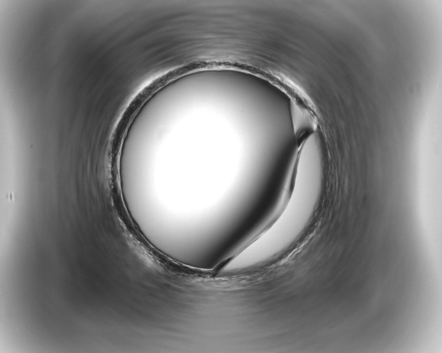 X0000084600976200703161815