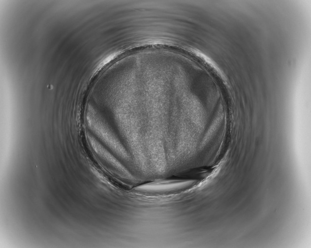 X0000084600977200703161815