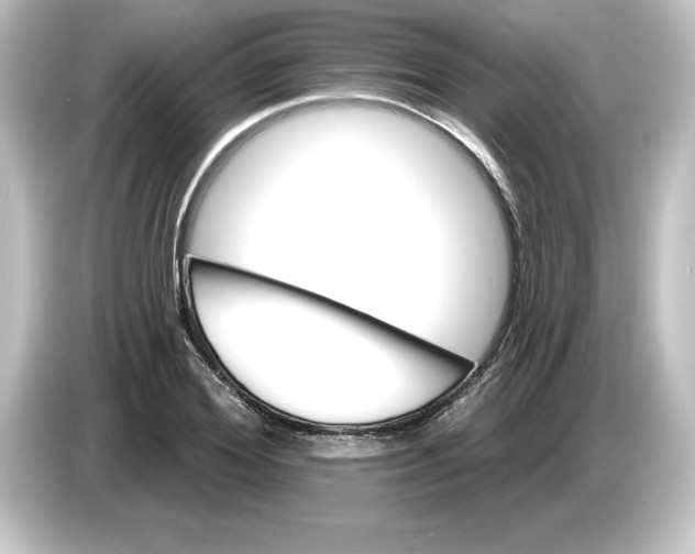 X0000084600980200703161815