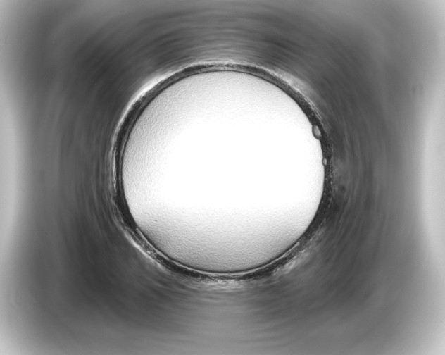 X0000084600982200703161815