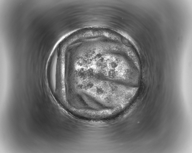 X0000084600983200703161815