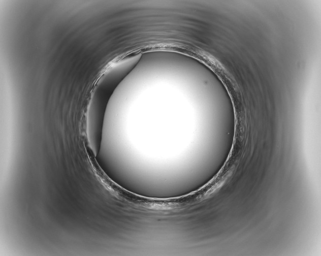 X0000084600985200703161815