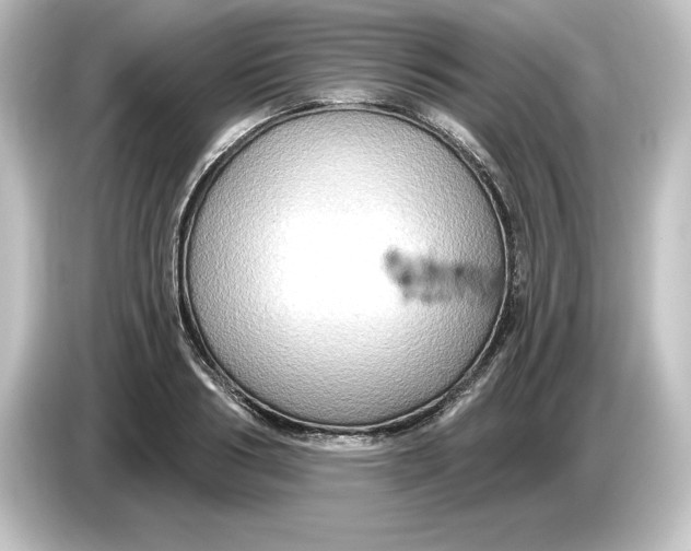 X0000084600986200703161815