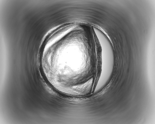 X0000084600987200703161815