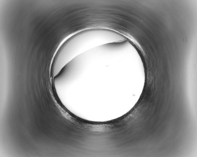 X0000084600988200703161815