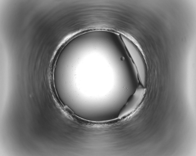 X0000084600989200703161815