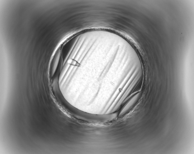 X0000084600990200703161815