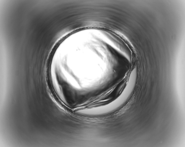 X0000084600991200703161815