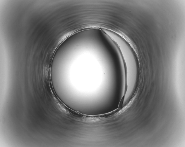 X0000084600993200703161815