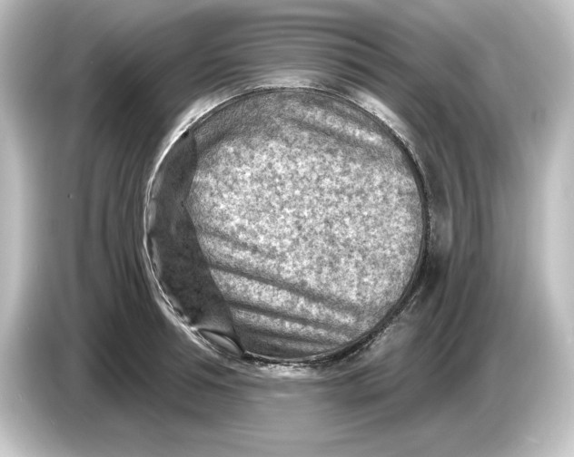 X0000084600994200703161815