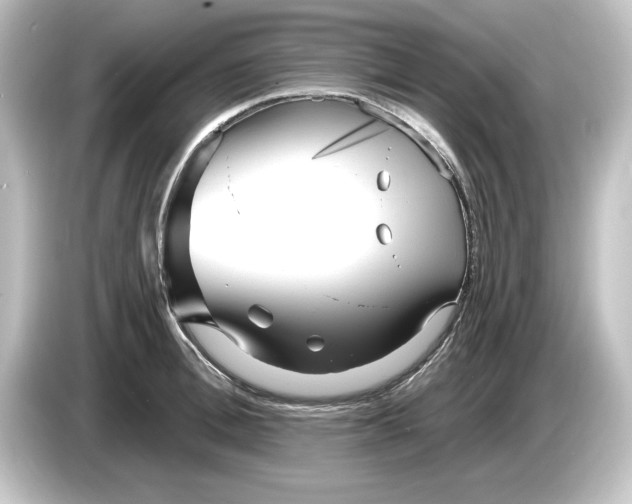 X0000084600996200703161815