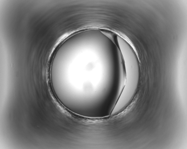 X0000084600997200703161815