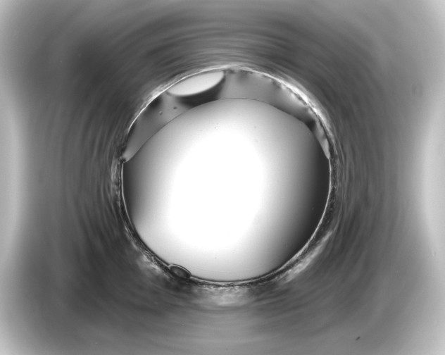 X0000084601001200703161815