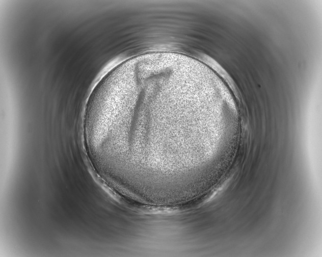 X0000084601002200703161815