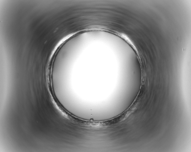 X0000084601003200703161814