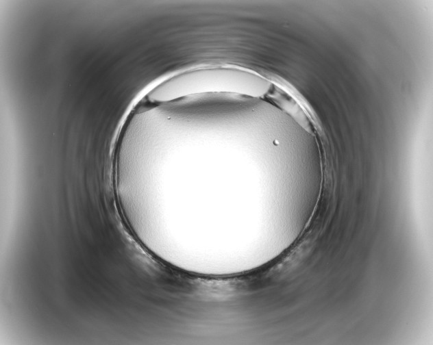 X0000084601004200703161814