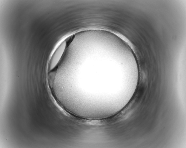 X0000084601006200703161814