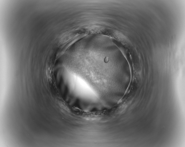 X0000084601010200703161814