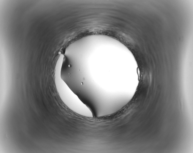 X0000084601012200703161814