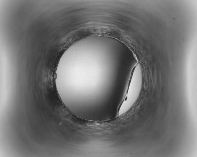 X0000084601013200703161814