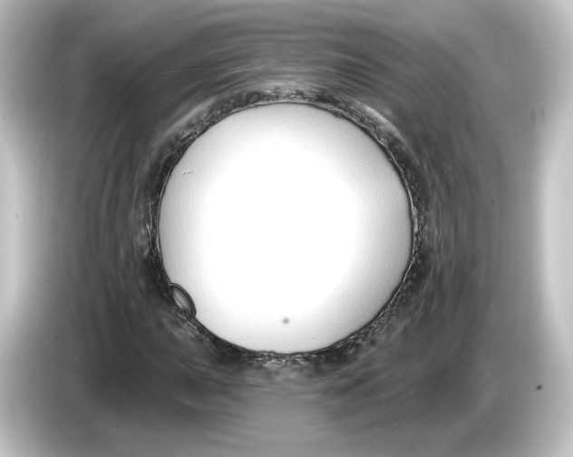 X0000084601015200703161814