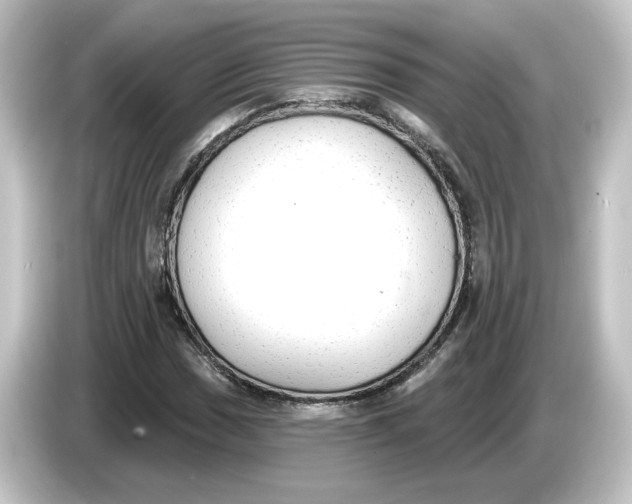 X0000084601017200703161814