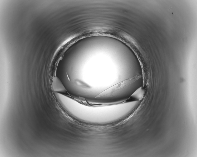 X0000084601018200703161814