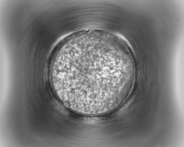 X0000084601019200703161814