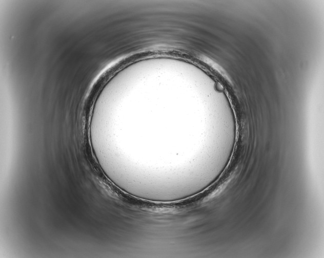 X0000084601021200703161814