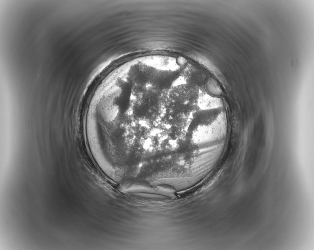 X0000084601023200703161814