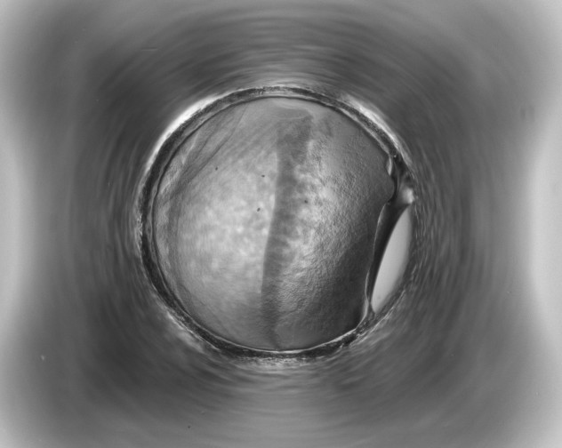 X0000084601024200703161814